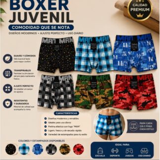 Boxer juvenil $12